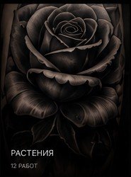 ROSE No.012